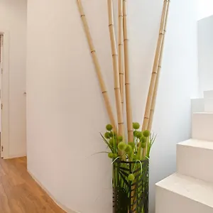  Apartment Genteel Santa Teresa