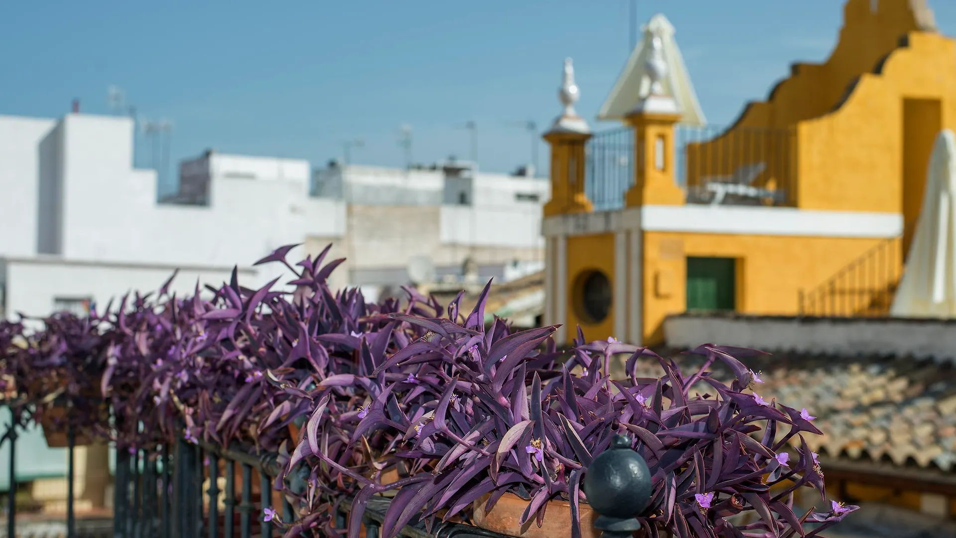 ****  Hotel Las Casas De La Juderia Sewilla Hiszpania